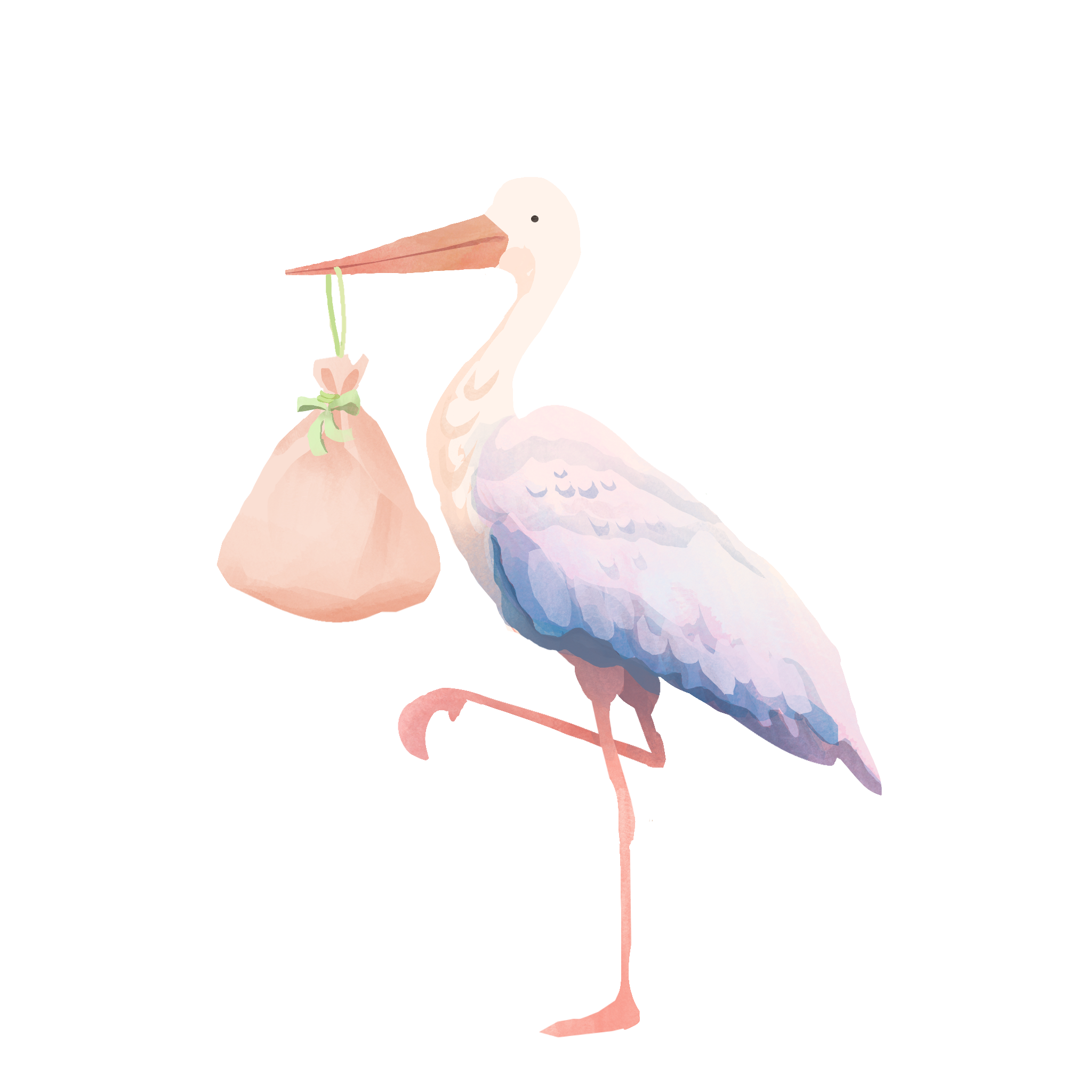 Stork illustration